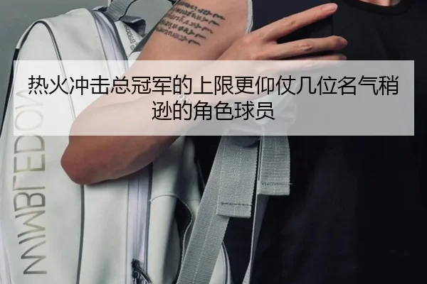 热火冲击总冠军的上限更仰仗几位名气稍逊的角色球员